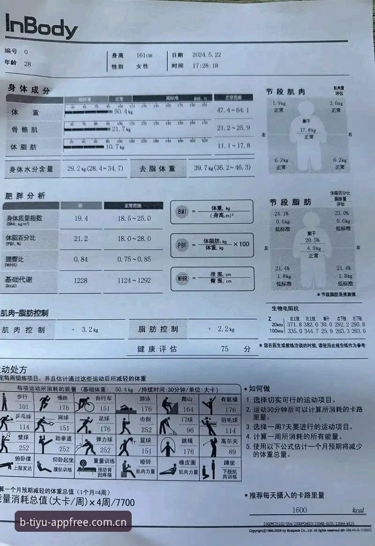 B体育官方版深度评测：从入门到精通的全流程体验报告