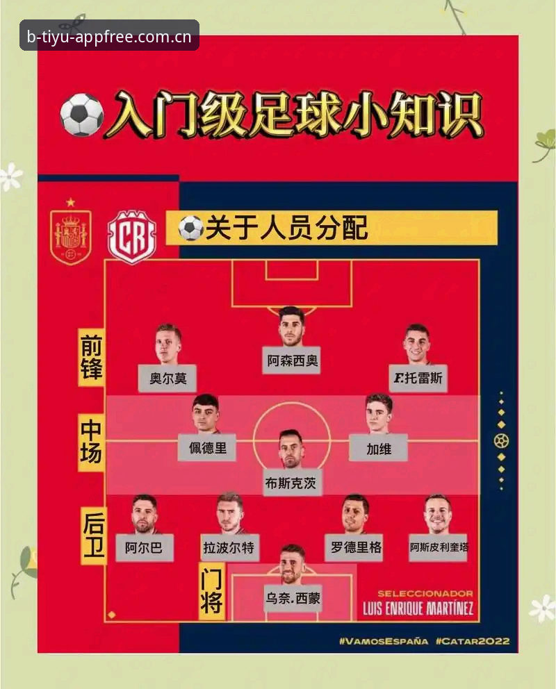 世界杯观赛障碍解析与B体育平台体验教程